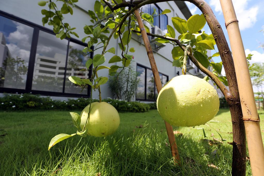 S Ratchada Leisure Hotel - Sha Plus Bangkok Kültér fotó Citrus ×sinensis